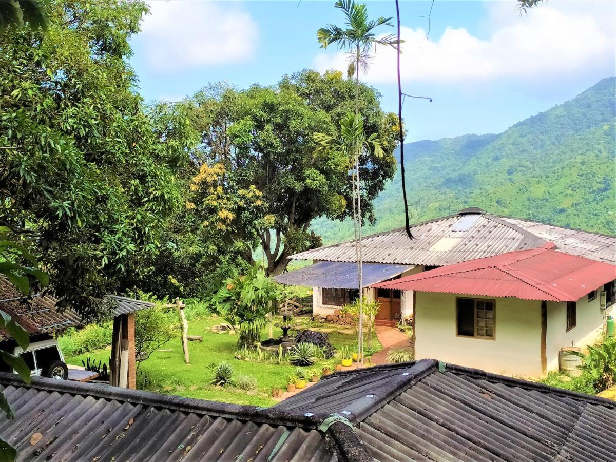 Finca Hostal Bolivar - Casa Quinta Minca Ngoại thất bức ảnh